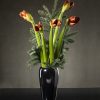 Amarilis